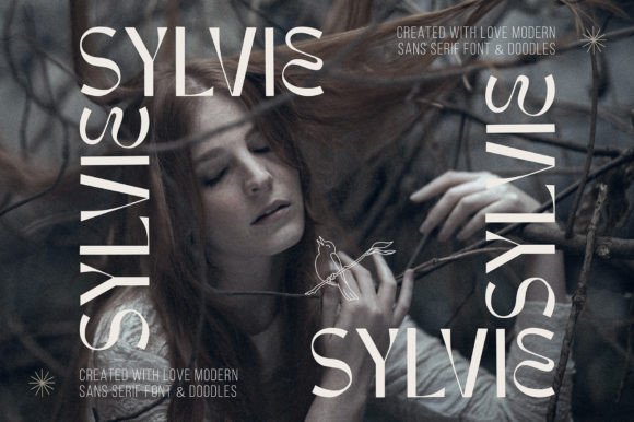 Sylvie Font for Stylish Branding and Professional Design